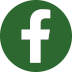 icone facebook