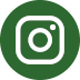 icone instagram